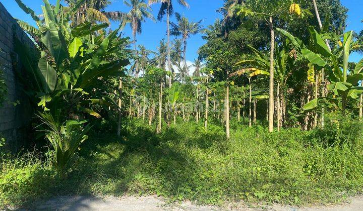 Tanah Premium Strategis Disewakan 25 Tahun Di Pantai Pering Saba Ke Pantai Hanya Dengan Berjalan Kaki 2