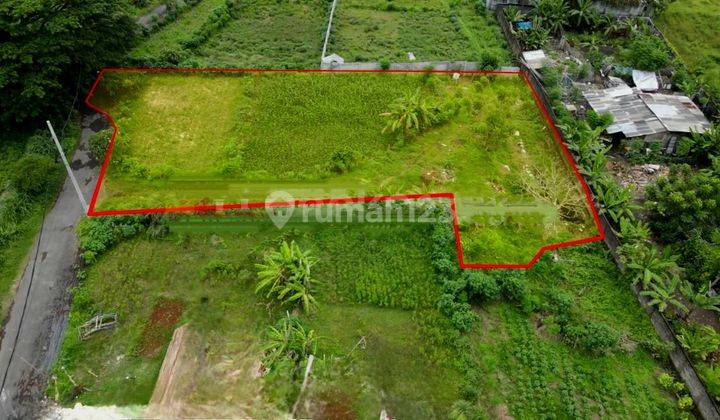 Tanah Super Premium Di Sanur Lokasi Strategis 50 Meter Dari Jalan By Pass Ngurah Rai Dekat Pantai Potensi & Investasi Tinggi 2