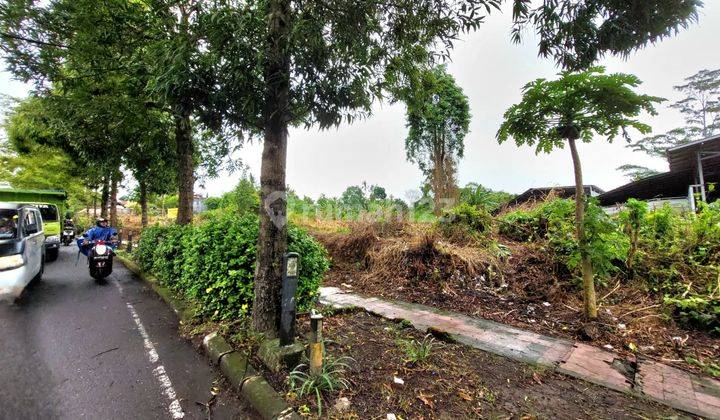 Tanah Super Strategis Lebar Depan 80 Meter Sewa 25 Tahun Di Jalan Raya Gianyar Bali Investasi Emas Di Lokasi Prima 2
