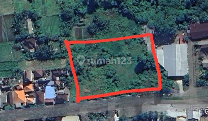 Tanah Super Strategis Lebar Depan 80 Meter Sewa 25 Tahun Di Jalan Raya Gianyar Bali Investasi Emas Di Lokasi Prima 1