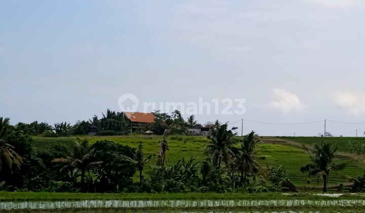 Freehold Land 2,160 m² in Tegalmengkeb Tourist Zone, Tabanan Bali for Rent Minimum 600 m2 Near Kelencung Beach Freehold Land 2,160 m² in Tegalmengkeb Tourist Zone, Tabanan Bali for Rent Minimum 600 m2 Near Kelencung Beach