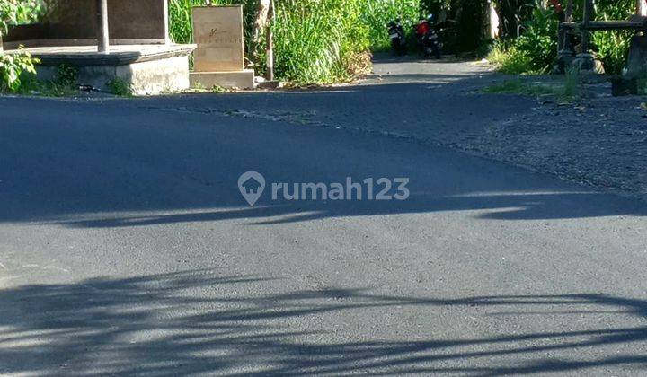Tanah 12 Are (1200m2 ) Di Pinggir Jalan 150m Menuju Pantai Saba Gianyar Bali Leasehold 30 Tahun Rare Opportunity 2