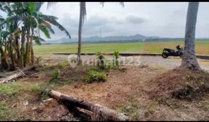 Cheap Commercial Land for Sale Cheap Commercial Land for Sale