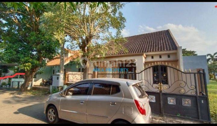 RUMAH CITRALAND BUKIT PALMA SURABAYA (Tjin2Area)  1