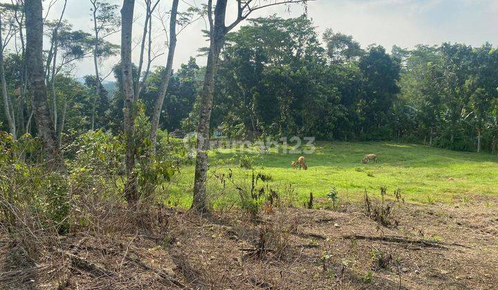 Dijual Murah Tanah Lokasi Strategis Di kelapa Nunggal pinggir jalan  2