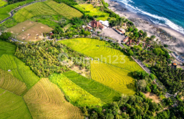 Tanah Strategis di Tabanan - Dekat Pantai Soka