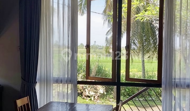 For Rent Leasehold Semi Villa House Abianbase Mengwi Bali Near Canggu Tabanan Tanah Lot Denpasar