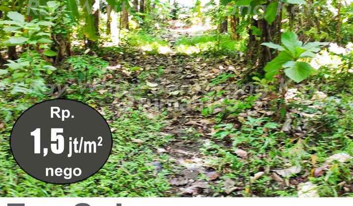 Tanah Luas Siap Bangun Strategis di Patebon Kendal A5187 Tanah Luas Siap Bangun Strategis di Patebon Kendal A5187