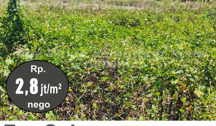 Strategic Ready-to-Build Land in Kaliwungu Kendal A5007 Strategic Ready-to-Build Land in Kaliwungu Kendal A5007