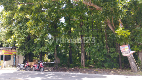 Tanah Siap Bangun Strategis di Patebon Kendal A5187 Tanah Siap Bangun Strategis di Patebon Kendal A5187