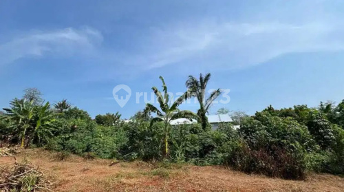 Good Wide Land Ready to Build in Pakis Aji Jepara A4923