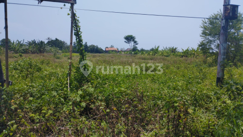 Strategic Ready-to-Build Land in Kaliwungu Kendal A5007 Strategic Ready-to-Build Land in Kaliwungu Kendal A5007