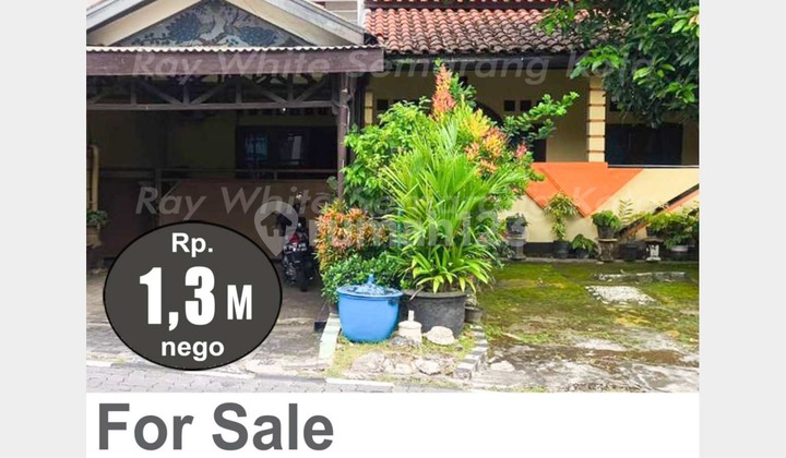 Good Ready-to-Occupy House in West Semarang A3936 1