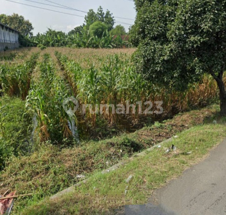 Cheap Large Land for Rent in Gemuh Kendal A4714
