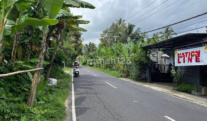 Buc Dijual Tanah Lokasi Berada Dilingkungan Tenang Dan Nyaman Desa Payangan Gianyar 2