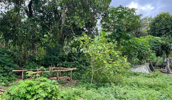 Buc Land for sale, located in a calm and comfortable environment, Payangan Village, Gianyar 2