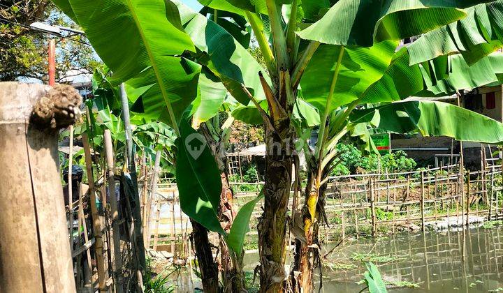 Di Jual Tanah Kebun Dan Kolam Ikan Di Cimahi 1
