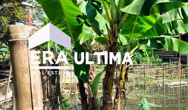 Dijual Tanah Kebun Dekat Rumah Warga Dan Kolam Pemancingan Citeureup Cimahi 2