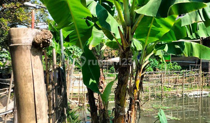 Di Jual Tanah Kebun Dan Kolam Ikan Di Cimahi 2