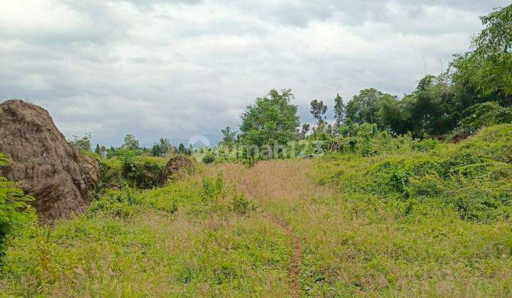 Dijual Tanah Lahan Zona Kuning Cocok Untuk Perumahan Dan Tempat Wisata Di Cianjur 1