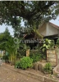 Ready-to-Occupy House in a Quiet Neighborhood 2