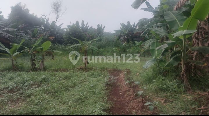 Kavling Serbaguna & Strategis Dekat Akses Tol Kavling Serbaguna & Strategis Dekat Akses Tol