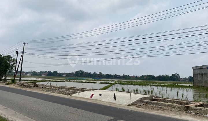 Dijual Tanah Luas dan Strategis Pinggir Jalan di Karawang