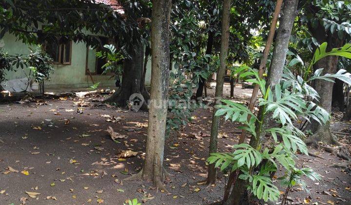 Dijual Cepat Tanah Bonus Rumah Di Lenteng Agung, Jkt Selatan 2