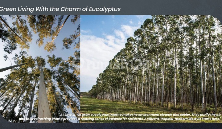 Kos Premium Mahasiswa 10 Kamar 4 Lantai Di Dago Bandung