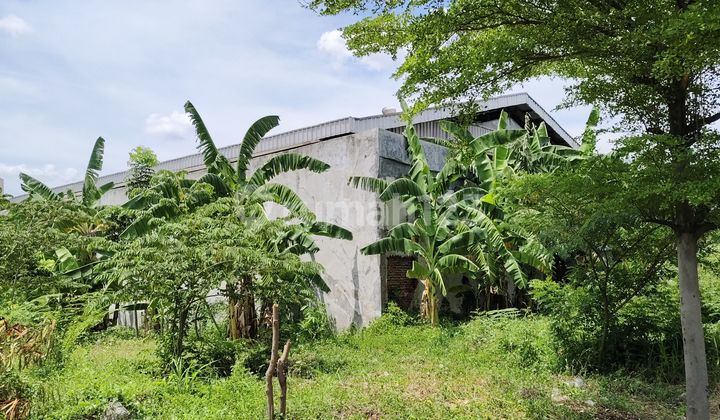 Pluit Gedong Panjang Land Plot 5000m2 Corner Main Road