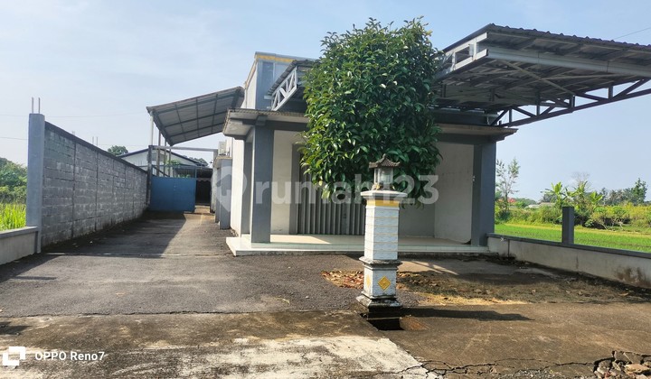 Spacious Warehouse Near Banyurejo Toll Exit, Sleman Spacious Warehouse Near Banyurejo Toll Exit, Sleman