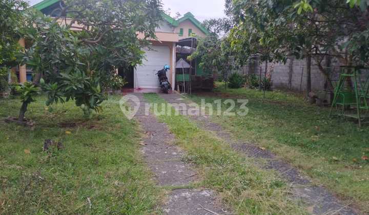 Tanah Luas Dekat Jalan Ring Road Barat