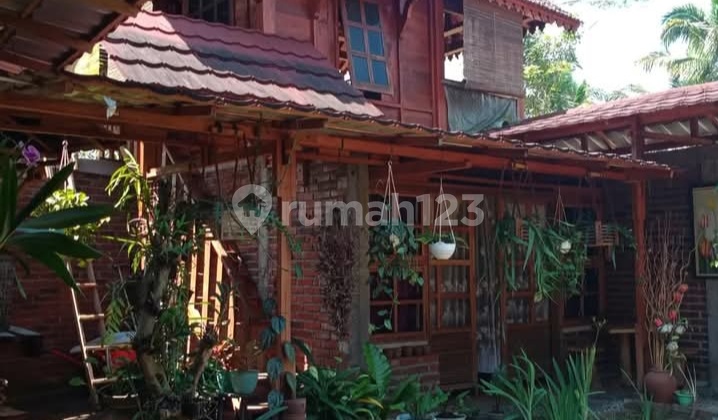 Rumah Tinggal Bonus Kebun Kopi Lokasi Temanggung