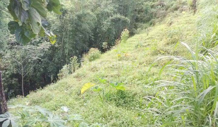Tanah lokasi 300 meter ke Jalan Raya Kaliangkrik, Magelang 2