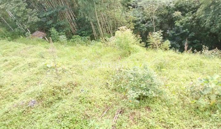 Tanah lokasi 300 meter ke Jalan Raya Kaliangkrik, Magelang 1