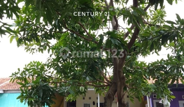 Rumah Tinggal di Arumsari Sumber Kabupaten Cirebon 2