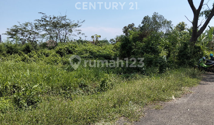 Strategic Land Plot in Harjamulia Indah Housing, Cirebon Strategic Land Plot in Harjamulia Indah Housing, Cirebon