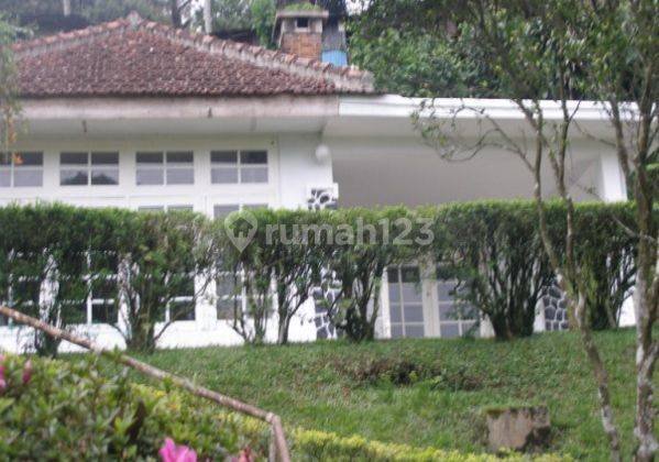 Villa Siap Pakai Di Villa Sepatu Bata, Cipanas Cianjur Jawa Barat 2