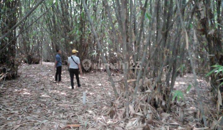 5 Menit Kantor Desa Cibodas Lokasi Hunian Asri sejuk Shm.cicil 12 Tanpa Bunga 0  2