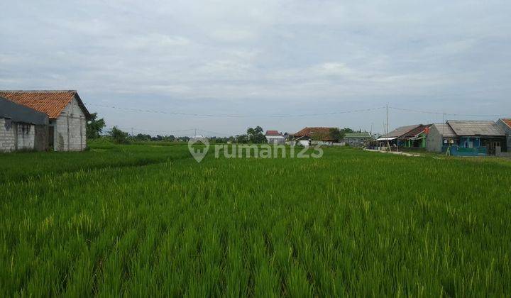 Dijual Tanah Murah 9 Menit Yogya Grand Dramaga 2 Jutaan 1