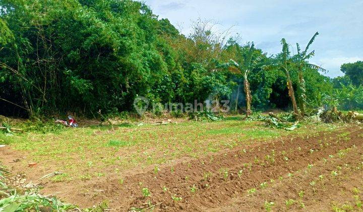 Jual Tanah Murah di Cisauk Akses Dekat Tol Pamulang 1 Jutaan 1