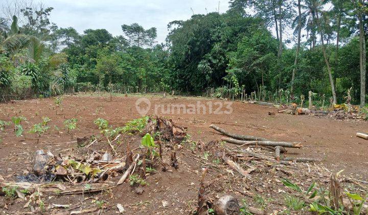 5 Menit Pasar Tradisional Gobang, SHM Bisa Dicicil Tanpa Bunga 1