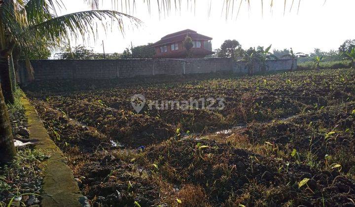 10 Menit Terminal Laladon, SHM Tanah Siap Bangun 1