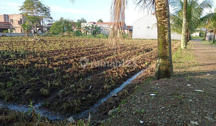 10 Menit Terminal Laladon, SHM Tanah Siap Bangun 2