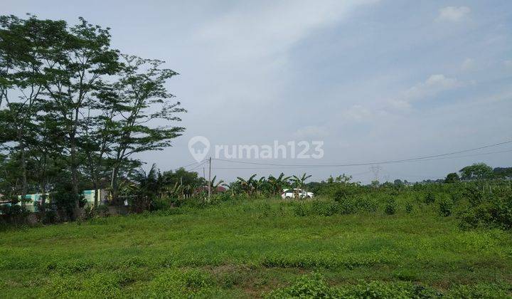 Kavling Murah Harga Mulai Dari 1 Jutaan m2. Area Strategis Shm 1