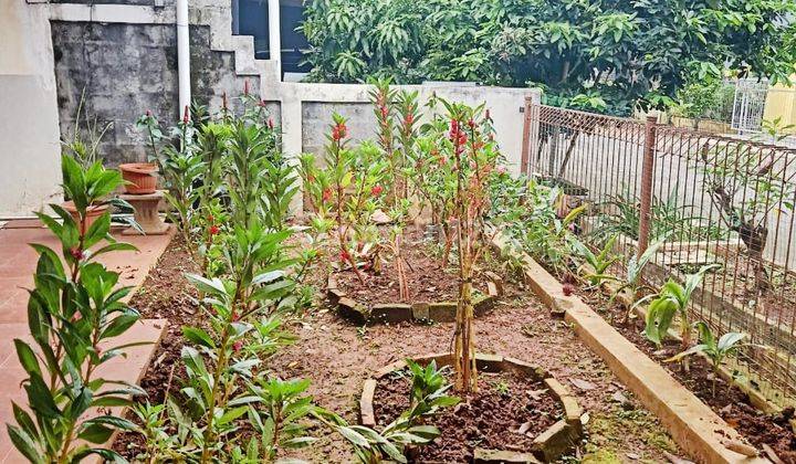 Rumah Modern Dijual Cepat Daerah Depok Jabar 2