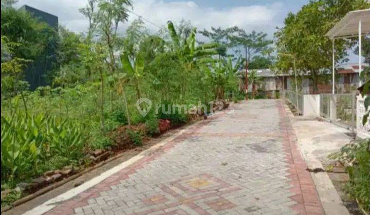 Tanah kost Istimewa Dekat Undip Tembalang Semarang 1