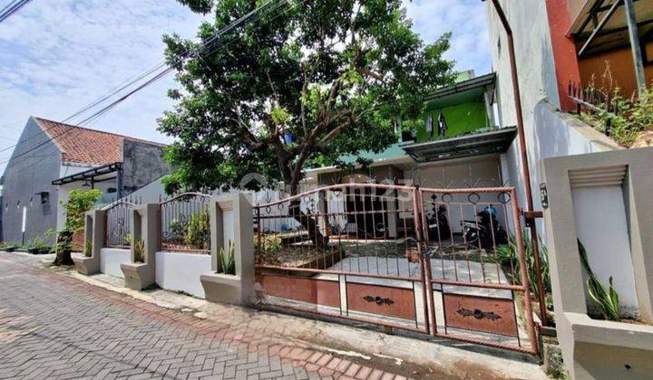 Kost Tembalang Dijual Super Murah Bu, Rings 1 Undip  1