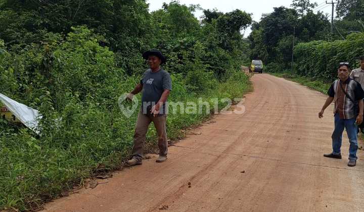 Subang [Tanah]: Zona Industri- Harga super Murah-150ha
