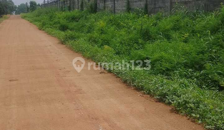 Subang-exit Tol Kalijati Luas 1 Ha Bisa Perluasan Sd Puluhan Ha Subang-exit Tol Kalijati Luas 1 Ha Bisa Perluasan Sd Puluhan Ha